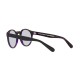 Polo PH 4101 - 56991A Black Top Trasparent Purple | Occhiale Da Sole Donna