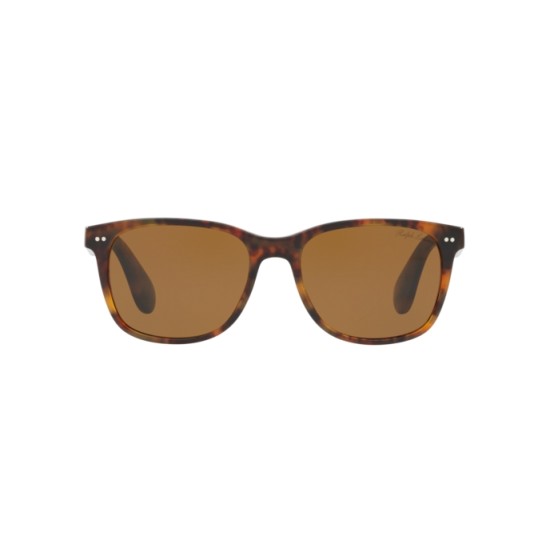 Ralph Lauren RL 8162P - 501753 Havana Jerry | Occhiale Da Sole Uomo Ralph Lauren RL 8162P - 501753 Havana Jerry | Occhiale Da Sole Uomo